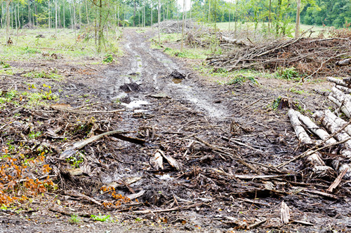 Best Newbie Tips For Choosing Hydraulic Press Manufacturer Best Newbie Tips For Choosing Hydraulic Press Manufacturer