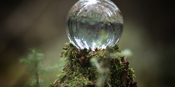 Benefits Of Buying Carbide Tipped Bobcat Auger Replacement Teeth