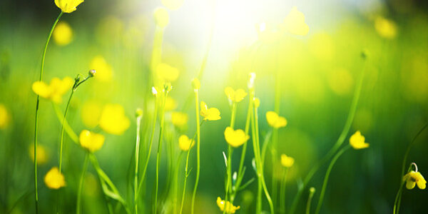 How To Make Homemade Electric Hydraulic Press