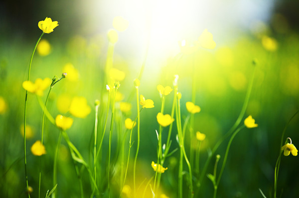 How To Make Homemade Electric Hydraulic Press How To Make Homemade Electric Hydraulic Press